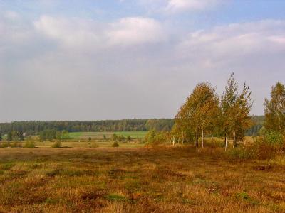 Landscape Near Brusno Nowe