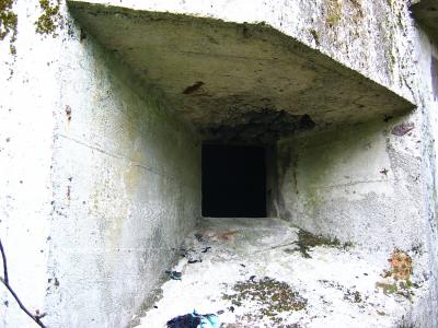 Bunker In Podemszczyzna