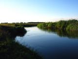 Narew River