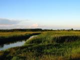 Narew River