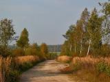 Road Home - Doroha Do Domu