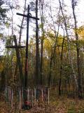 Two Crosses In The Woods