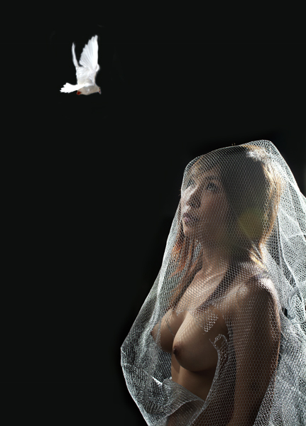 wedding bird