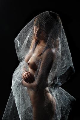 widow in veil