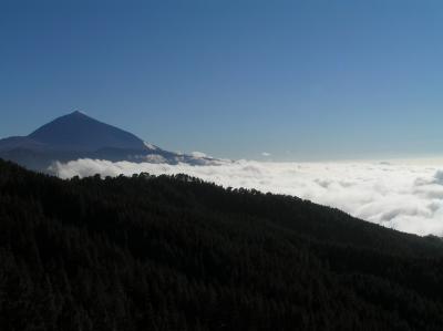 Pico del Teide above clouds.jpg