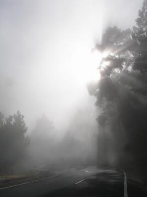 sun breaking through the fog.jpg