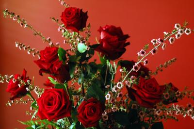 DSC_2020A.jpg