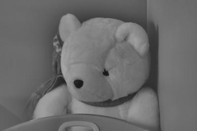 DSC_2023.jpg