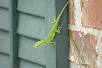 DSC_3693.JPG