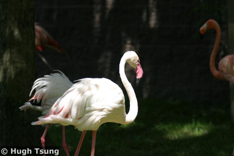 IMG_2335a.jpg