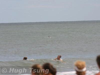 Shark?