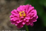 IMG_9518a.jpg