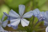 IMG_9574a.jpg