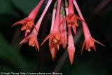 IMG_9575a.jpg
