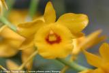 IMG_9586a.jpg