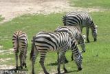 IMG_2282a.jpg