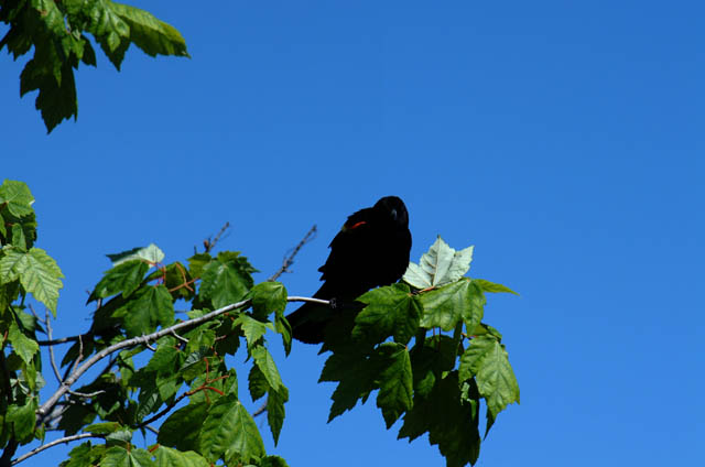 DSCF2319.jpg