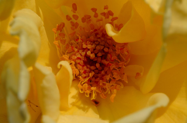 DSCF2354.jpg
