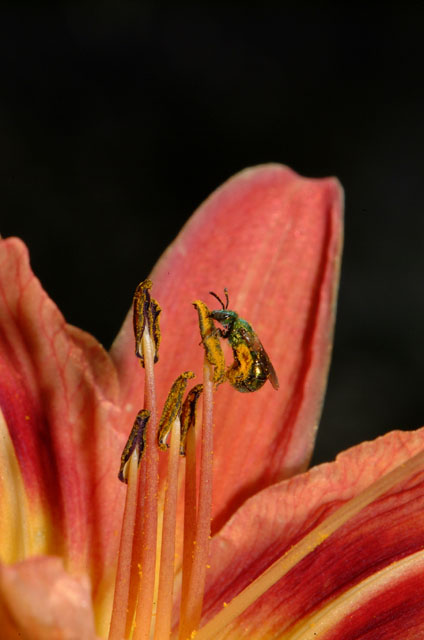 DSCF2787.jpg