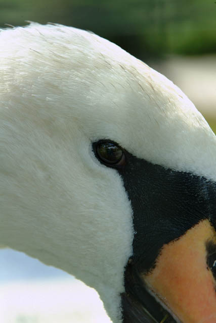 DSCF3038.JPG