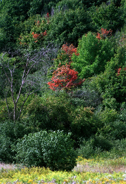 030905b.jpg