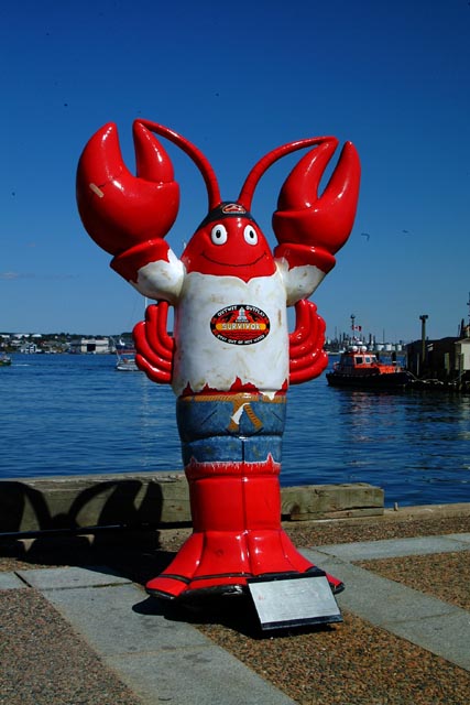 DSCF2986.jpg
