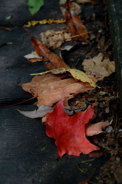 DSCF3299.jpg