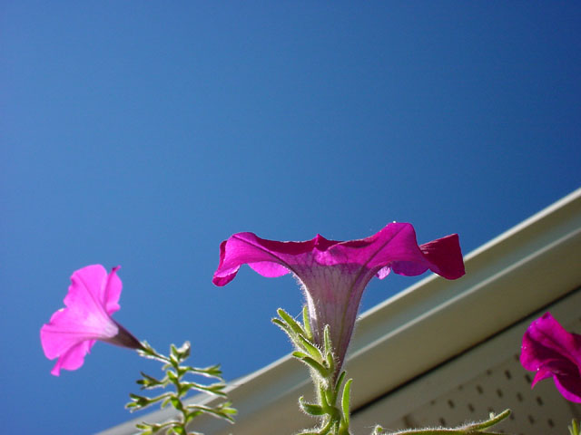 DSC00712.jpg
