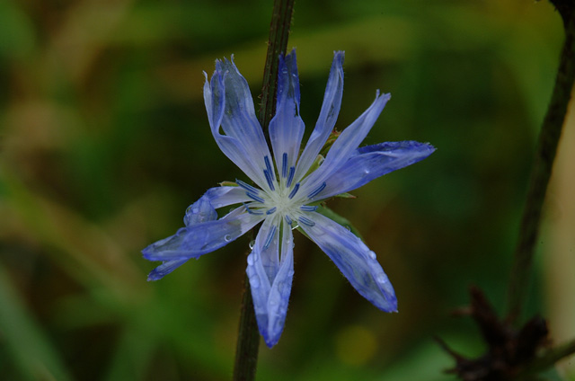 DSCF3420.jpg