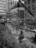 DSC00667.jpg
