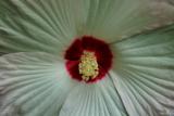 DSCF3104.jpg