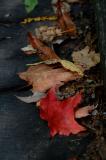 DSCF3299.jpg