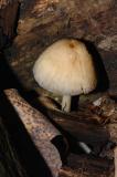 DSCF3326.jpg