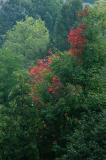 DSCF3393.jpg
