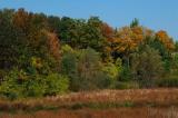 DSCF3491.jpg