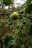 DSCF3731.jpg
