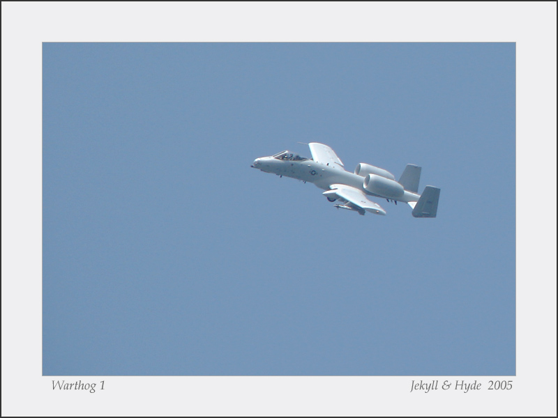 Warthog 1
