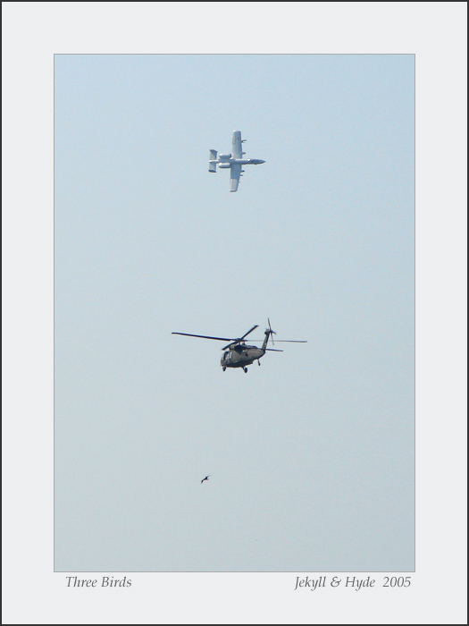 Three Birds