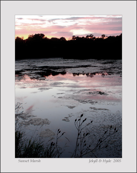 Sunset Marsh