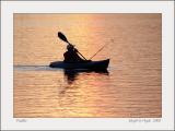 Paddle