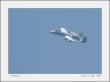 Warthog 1