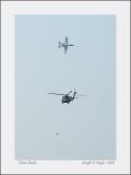 Three Birds