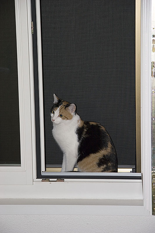 IMG_1656_Bonnie.jpg