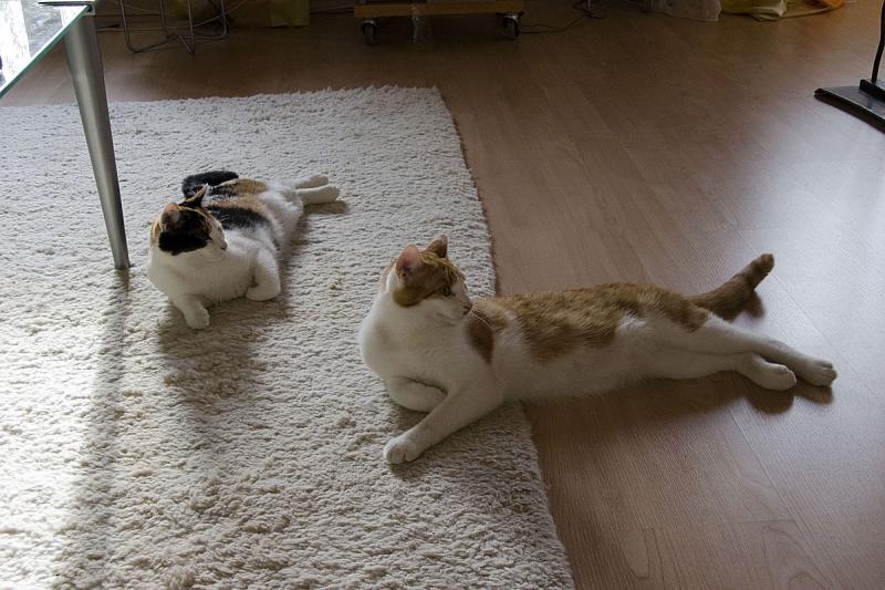 IMG_1734_Oscar&Bonnie.jpg