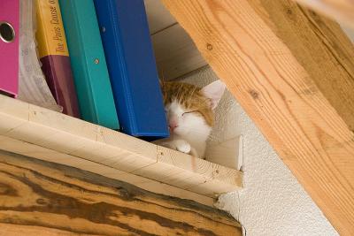 IMG_1723_Oscar.jpg