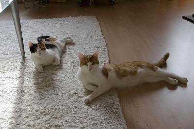 IMG_1733_Oscar&Bonnie.jpg
