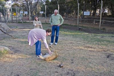 v3/63/342363/3/45777149.IMG_2831_JoburgLionPark.jpg