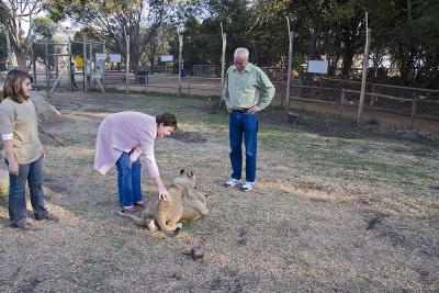 v3/63/342363/3/45777150.IMG_2834_JoburgLionPark.jpg