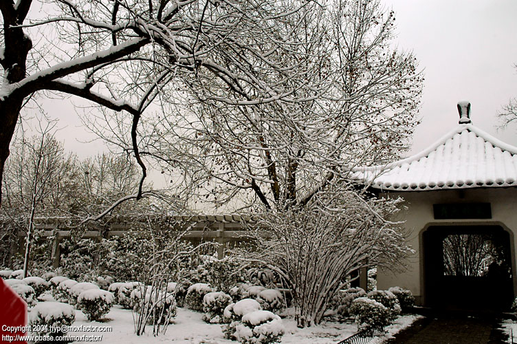 Hangzhou 杭州 - 三月中突然下雪