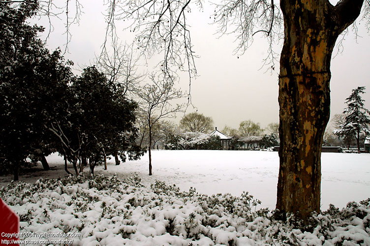 Hangzhou 杭州 - 三月中突然下雪